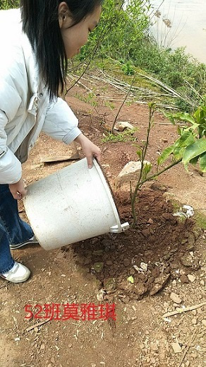 衡阳市蒸湘区仁爱实验中学|衡阳全日制|全寄宿|全封闭|半月假制初级中学