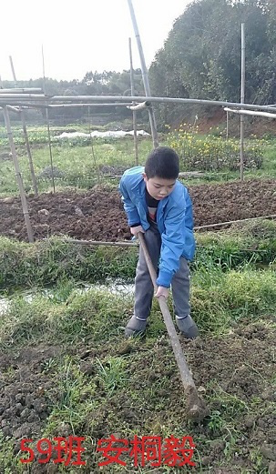 衡阳市蒸湘区仁爱实验中学|衡阳全日制|全寄宿|全封闭|半月假制初级中学