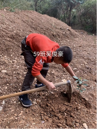 衡阳市蒸湘区仁爱实验中学|衡阳全日制|全寄宿|全封闭|半月假制初级中学