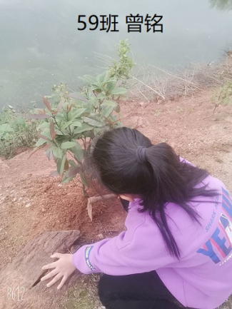 衡阳市蒸湘区仁爱实验中学|衡阳全日制|全寄宿|全封闭|半月假制初级中学