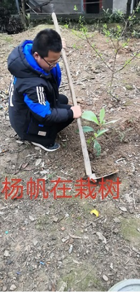 衡阳市蒸湘区仁爱实验中学|衡阳全日制|全寄宿|全封闭|半月假制初级中学