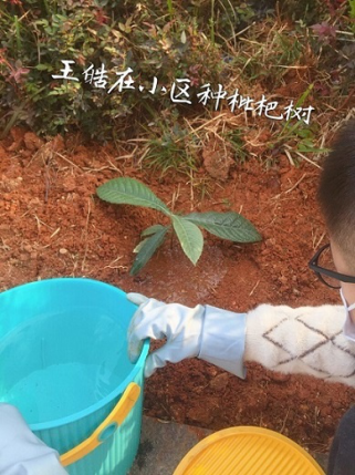 衡阳市蒸湘区仁爱实验中学|衡阳全日制|全寄宿|全封闭|半月假制初级中学